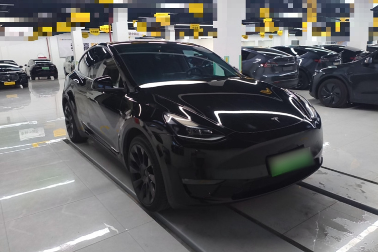 Tesla Model Y 2023 car image #6