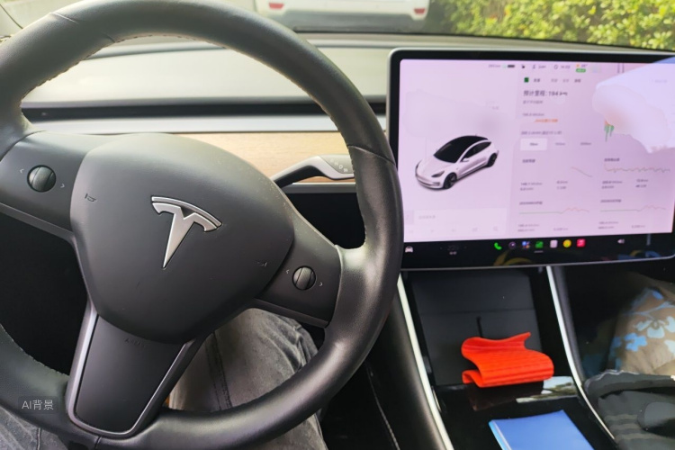 Tesla Model 3 2020 immagine di auto #11