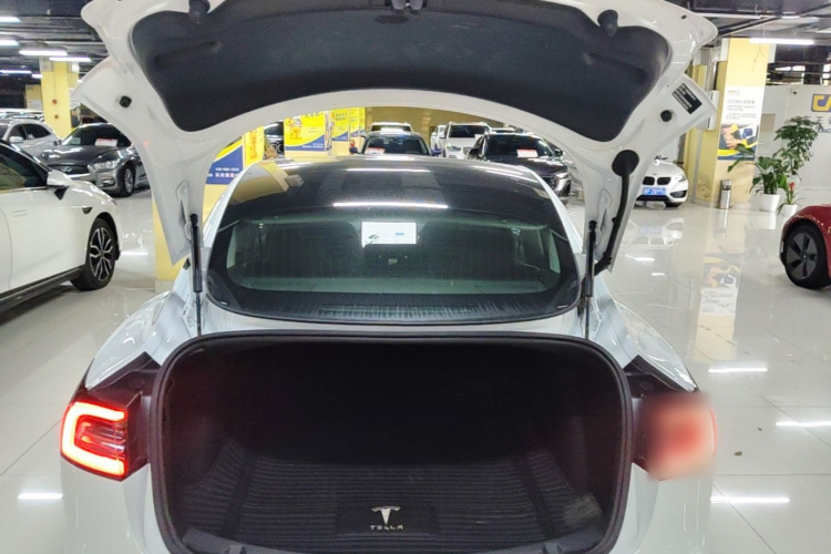 Tesla Model 3 2020 #19 Tesla Model 3 2020 صورة سيارة #19