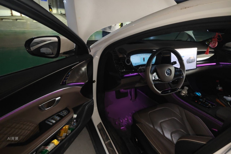 BYD Han 2022 immagine di auto #18