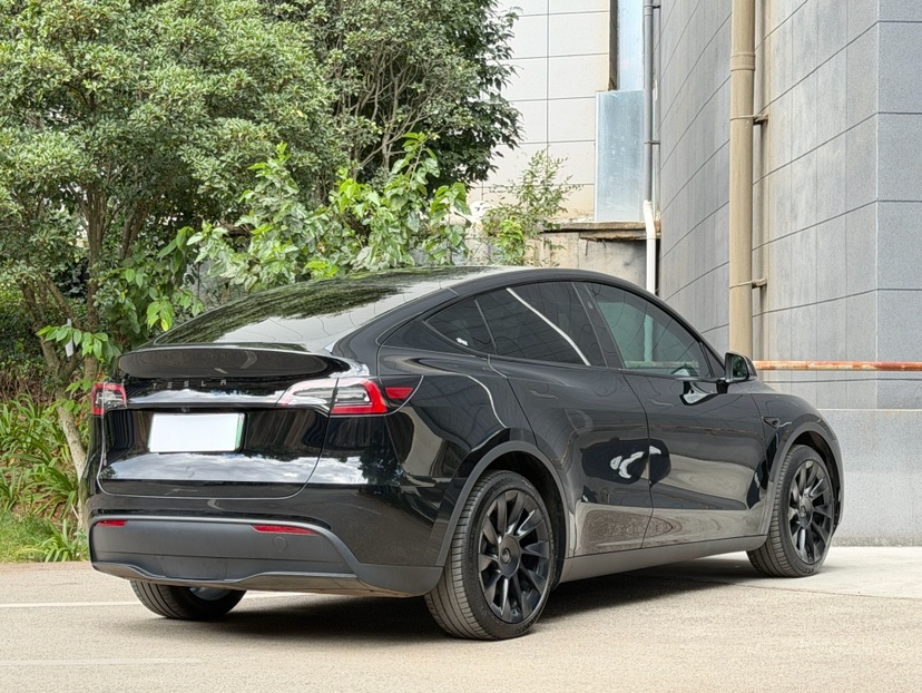 Tesla Model Y 2024 #5 Tesla Model Y 2024 car image #5