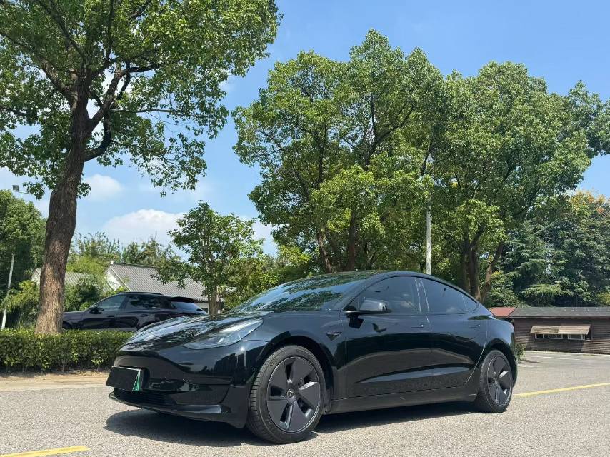 Tesla Model 3 2022 #3 Tesla Model 3 2022 car image #3
