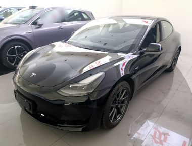 Tesla Model 3 2021 Tesla Model 3 2021 car image