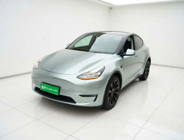 Tesla Model Y 2021 immagine di auto 