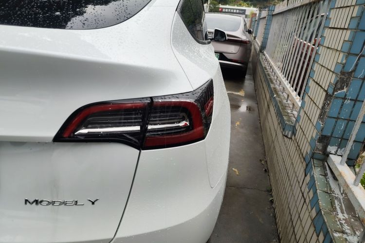 Tesla Model Y 2023 #8 Tesla Model Y 2023 car image #8