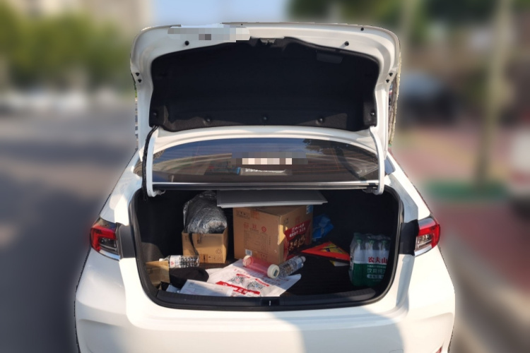 Toyota Corolla 2020 car image #17