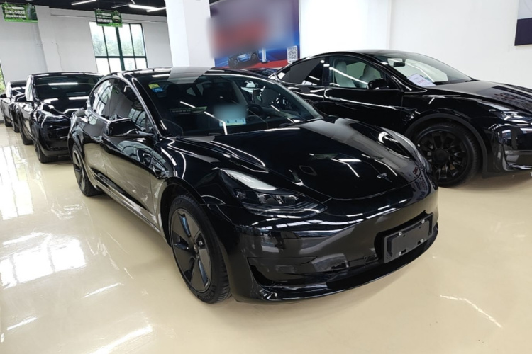 Tesla Model 3 2021 #4 Tesla Model 3 2021 car image #4