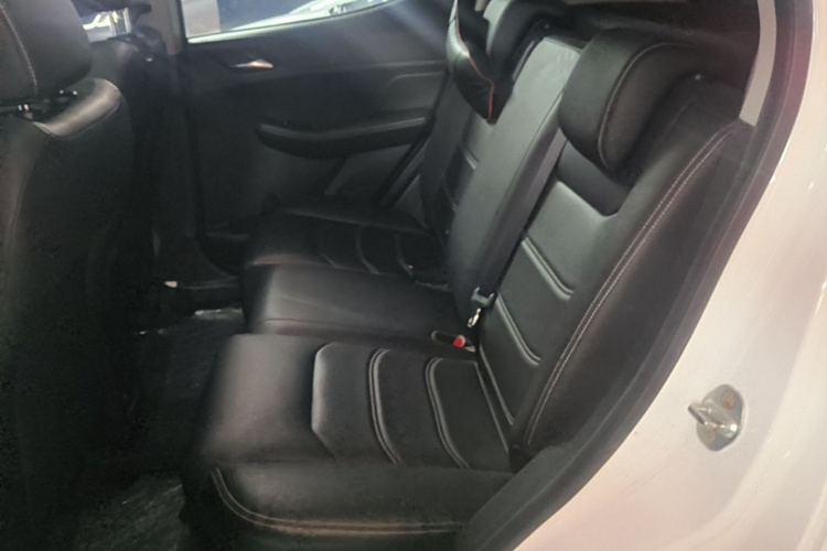 BYD Yuan New Energy 2020 car image #17
