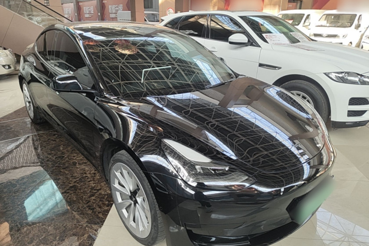 Tesla Model 3 2021 #4 Tesla Model 3 2021 car image #4