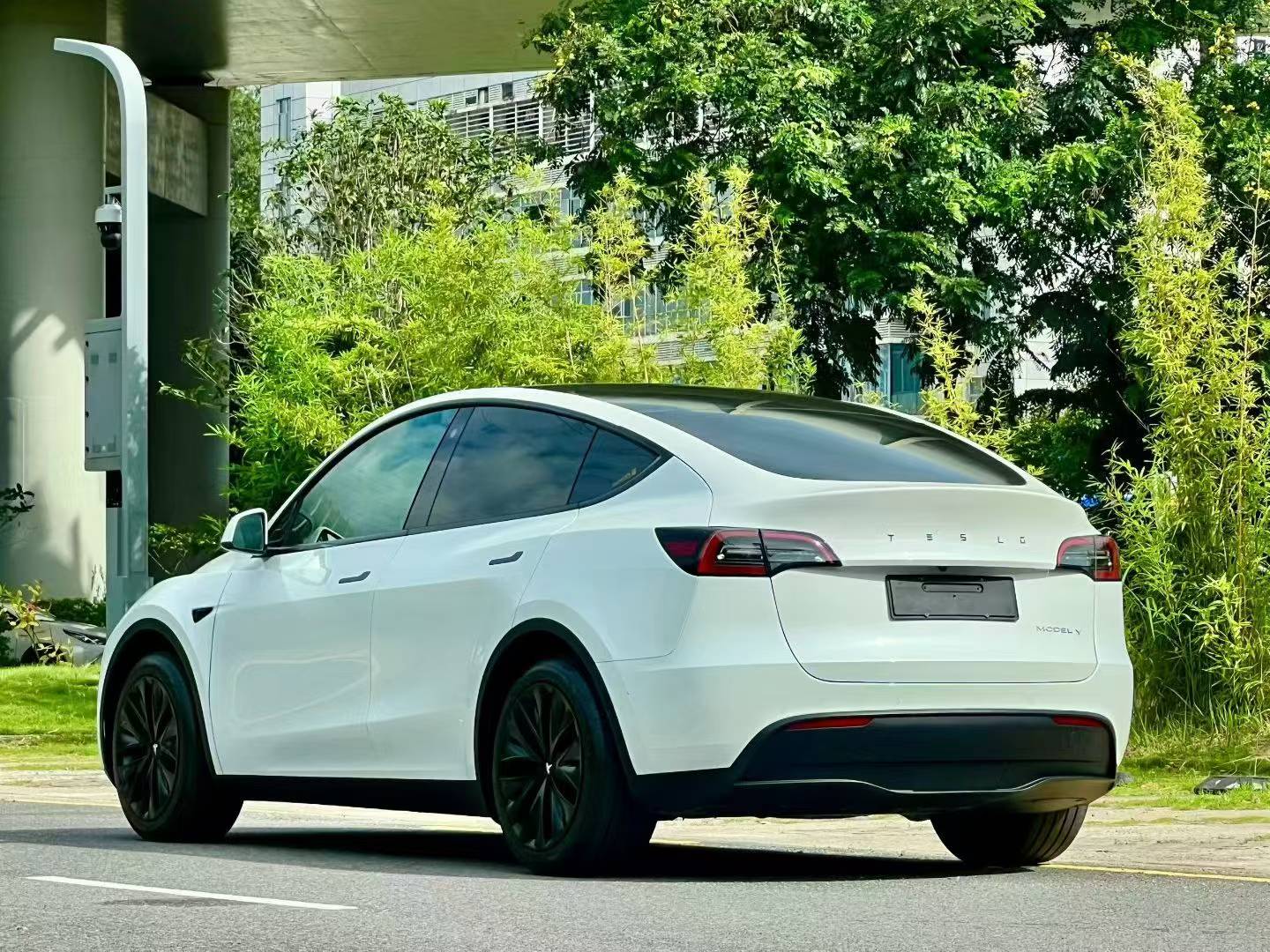 Tesla Model Y 2023 #7 Tesla Model Y 2023 car image #7