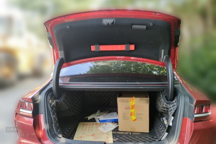 BYD Han 2020 immagine di auto #21