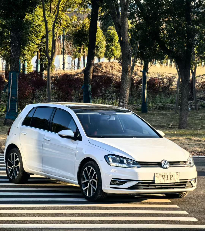 Volkswagen Golf 2020 #3 Volkswagen Golf 2020 car image #3