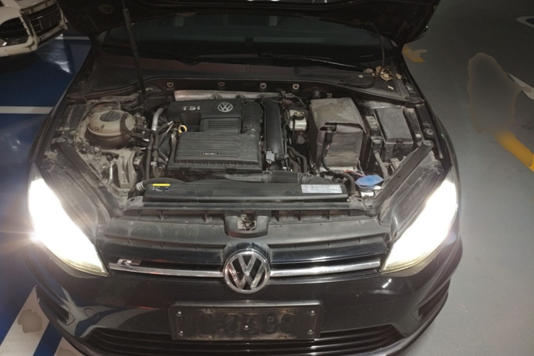 Volkswagen Golf 2017 car image #20