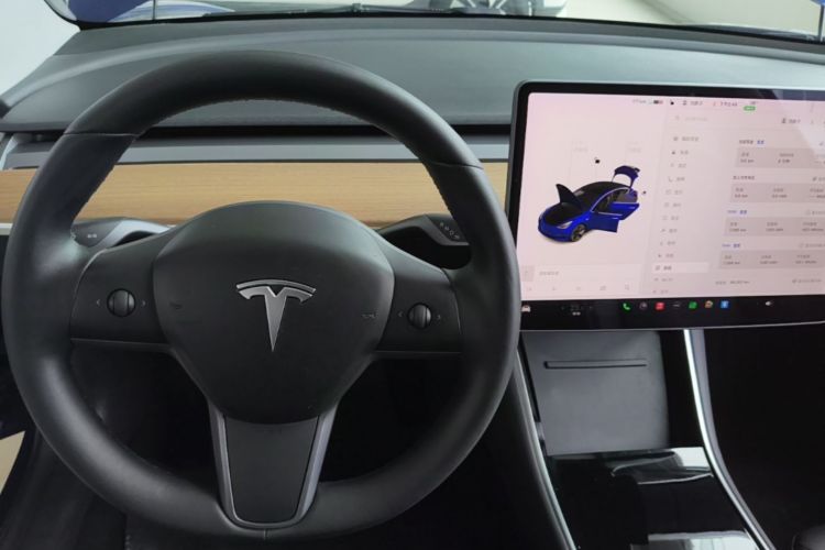 Tesla Model 3 2020 car image #14
