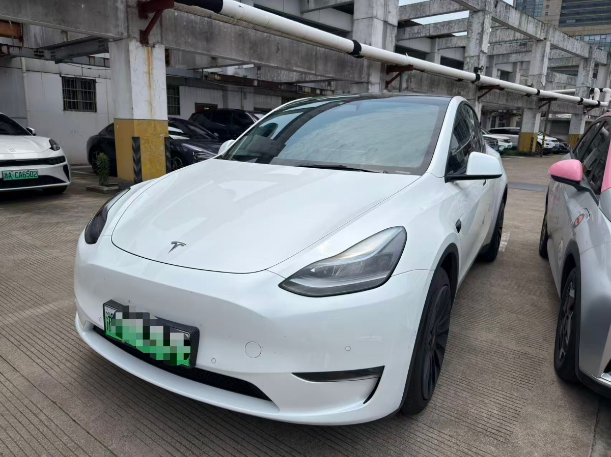 Tesla Model Y 2023 car image 