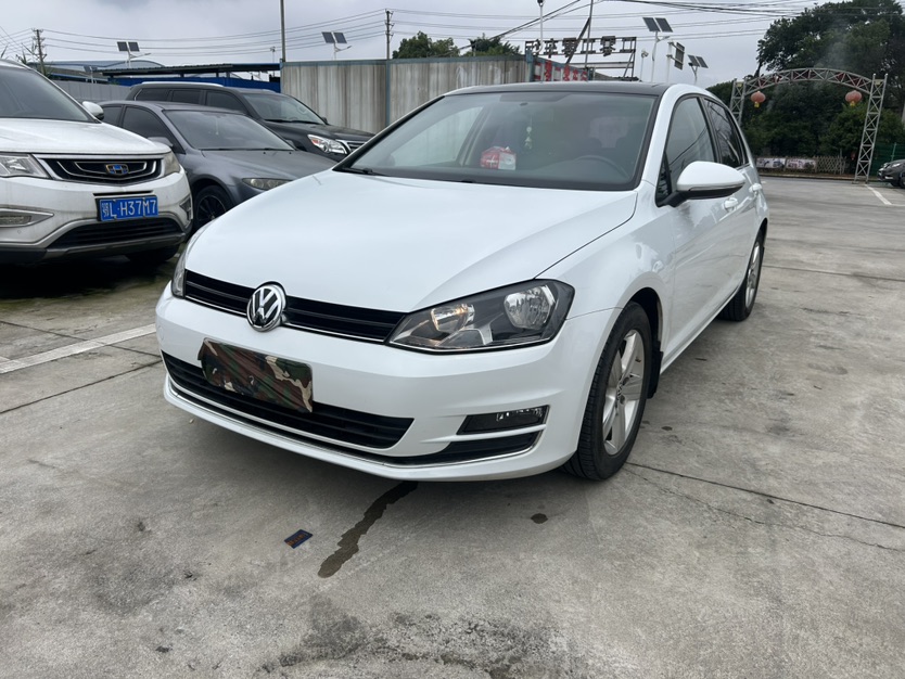 Volkswagen Golf 2016 Volkswagen Golf 2016 car image