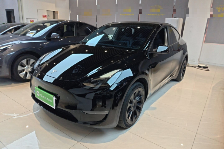 Tesla Model Y 2022 car image #2