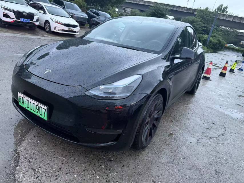 Tesla Model Y 2021 car image 