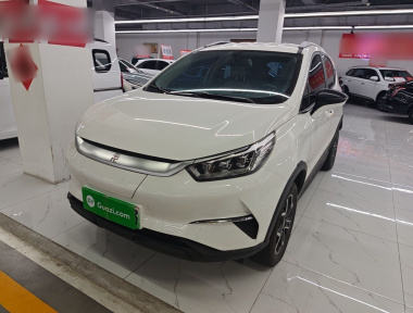 BYD Yuan Pro 2021 car image 