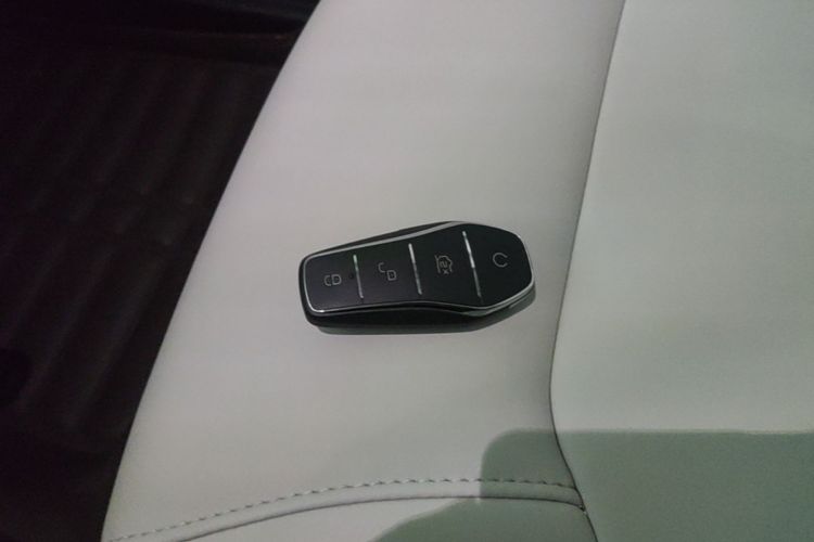 BYD Yuan Pro 2023 #14 BYD Yuan Pro 2023 immagine di auto #14