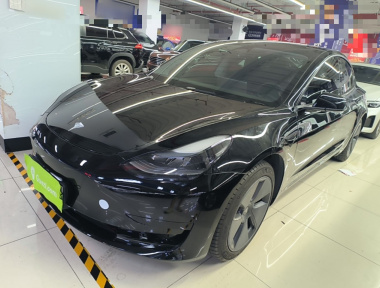 Tesla Model 3 2022 Tesla Model 3 2022 car image