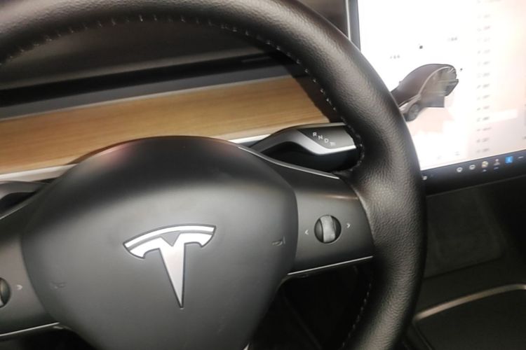 Tesla Model 3 2023 car image #18