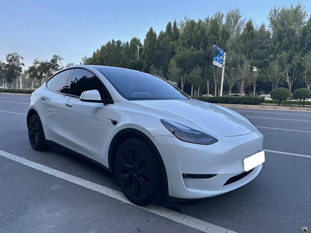 Tesla Model Y 2024 #4 Tesla Model Y 2024 car image #4