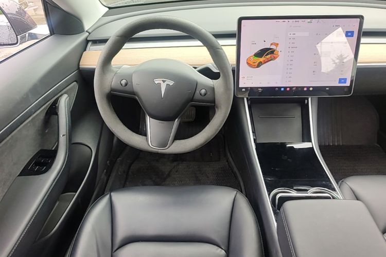 Tesla Model 3 2020 car image #11