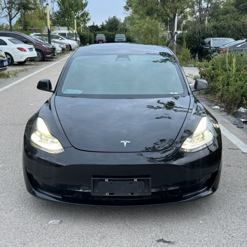 Tesla Model 3 2021 Tesla Model 3 2021 car image