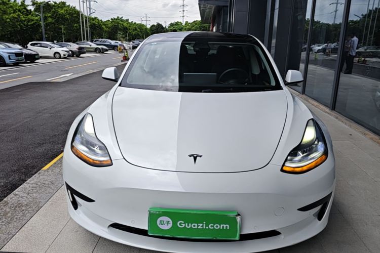 Tesla Model 3 2021 #3 Tesla Model 3 2021 car image #3