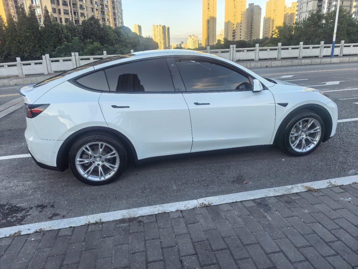 Tesla Model Y 2023 #9 Tesla Model Y 2023 car image #9