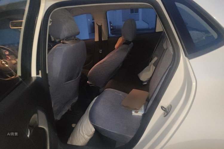 Volkswagen Polo 2015 car image #19