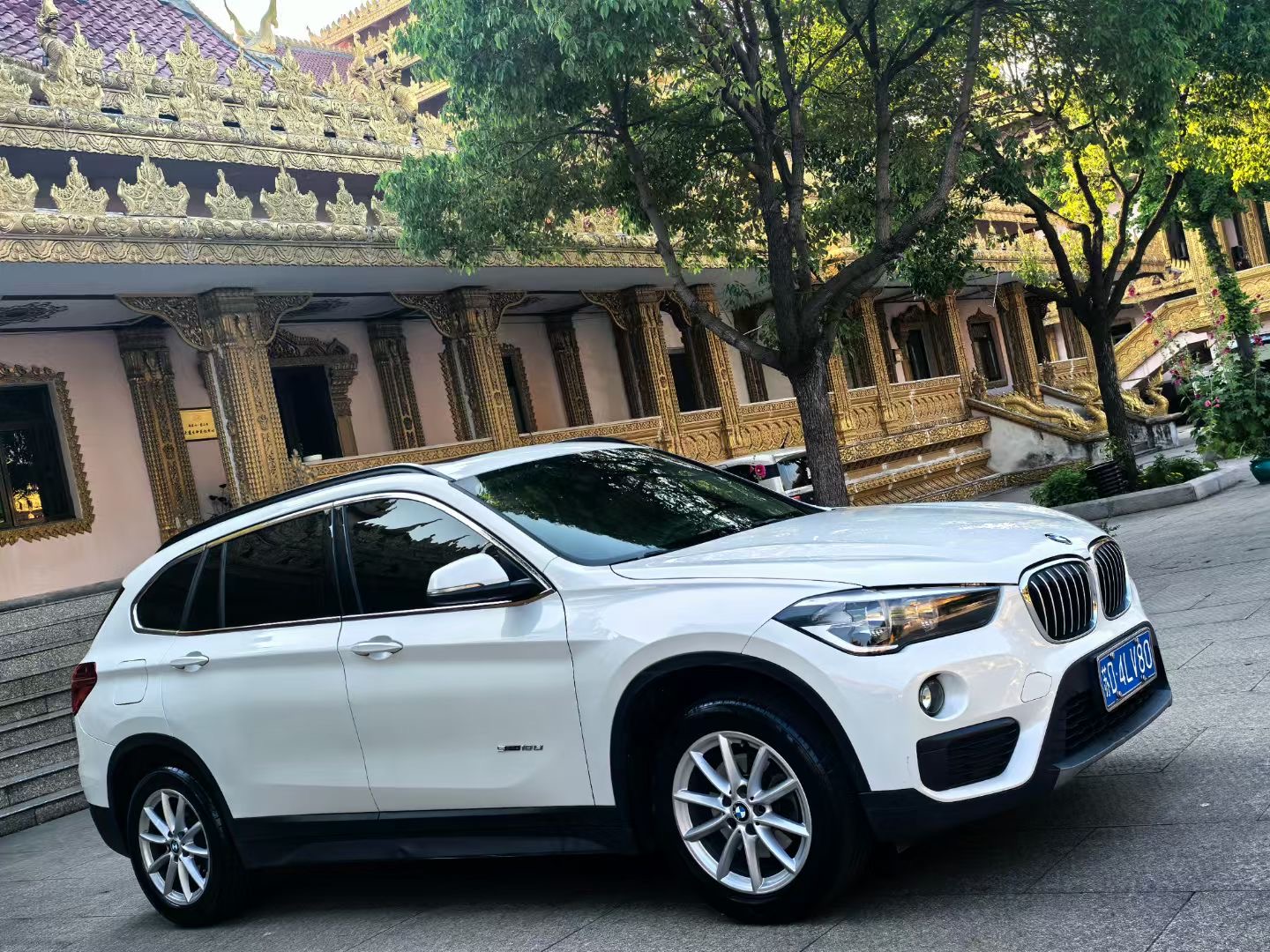 BMW X1 2017 car image #3