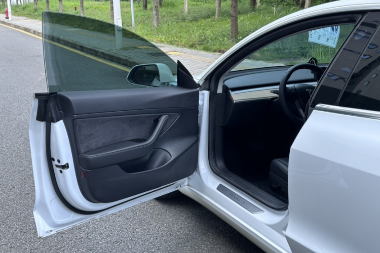 Tesla Model 3 2020 car image #20
