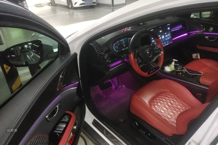 BYD Han 2021 imagen de coche #18