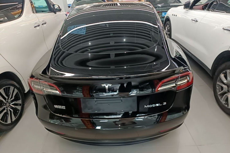 Tesla Model 3 2023 car image #4