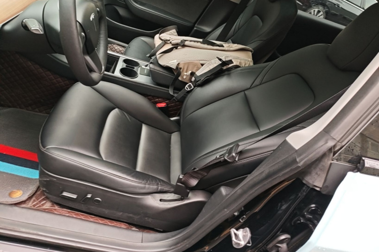 Tesla Model 3 2022 #15 Tesla Model 3 2022 صورة سيارة #15
