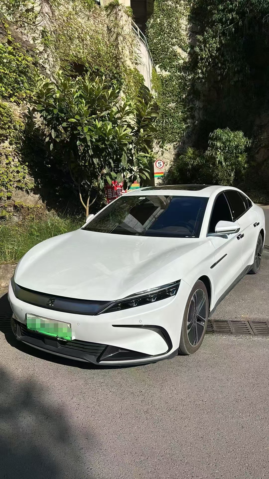 BYD Han 2023 BYD Han 2023 car image