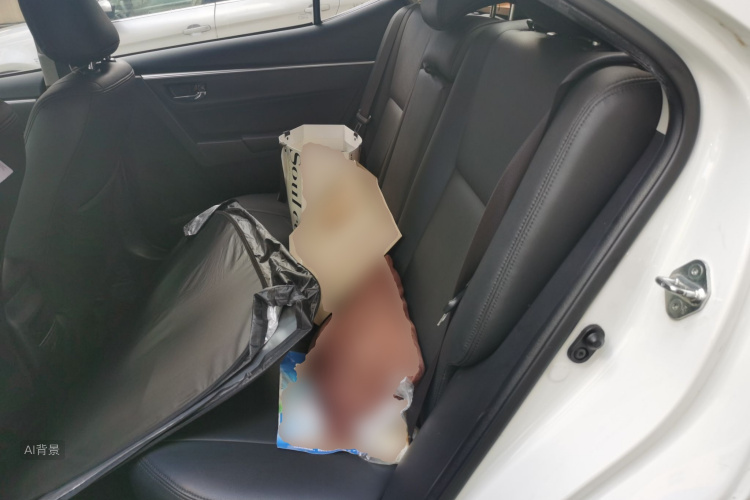 Toyota Corolla 2017 car image #19