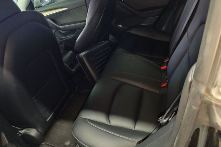 Tesla Model 3 2022 car image #17
