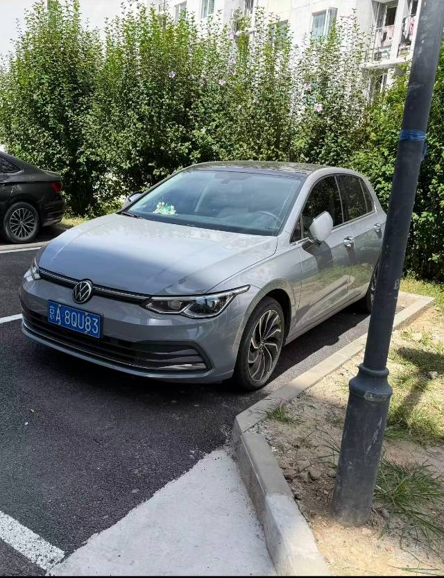 Volkswagen Golf 2022 Volkswagen Golf 2022 car image