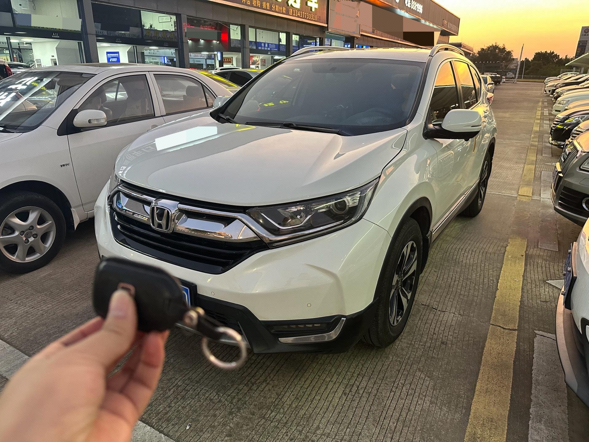 Honda CR-V 2019 Honda CR-V 2019 car image