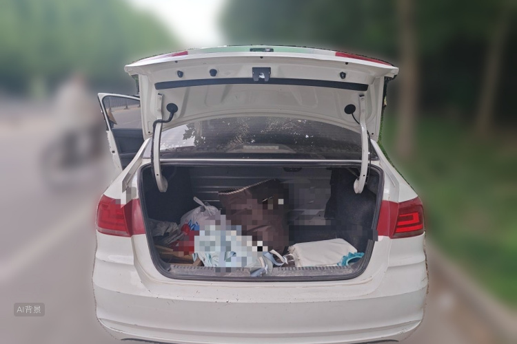Volkswagen Santana 2020 car image #21