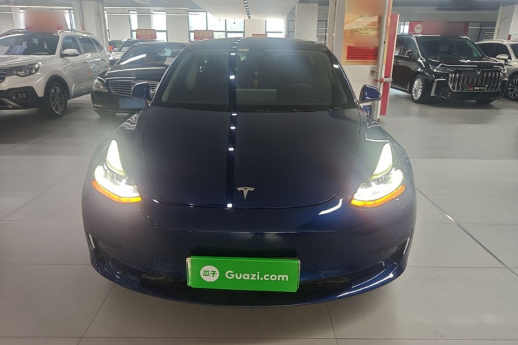 Tesla Model 3 2021 car image #3