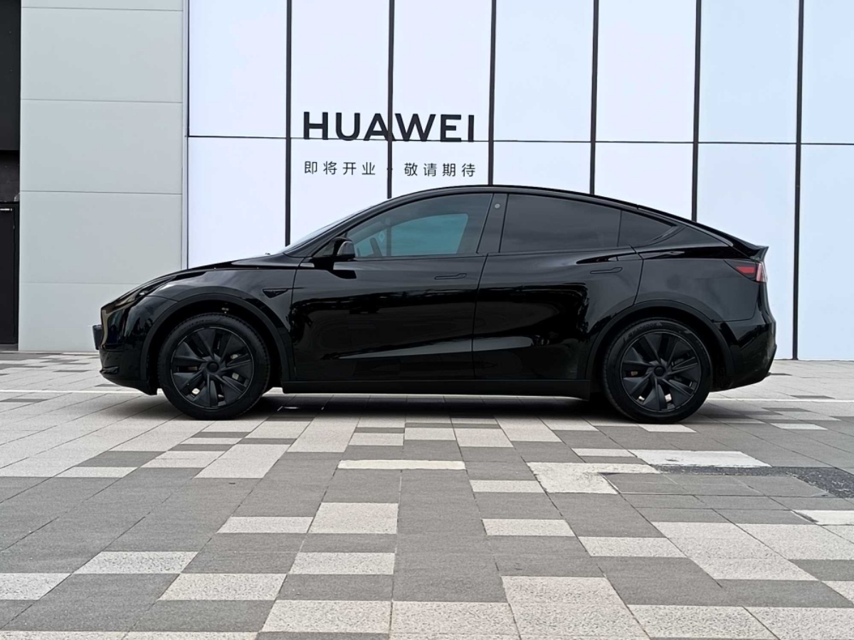 Tesla Model Y 2024 car image #10