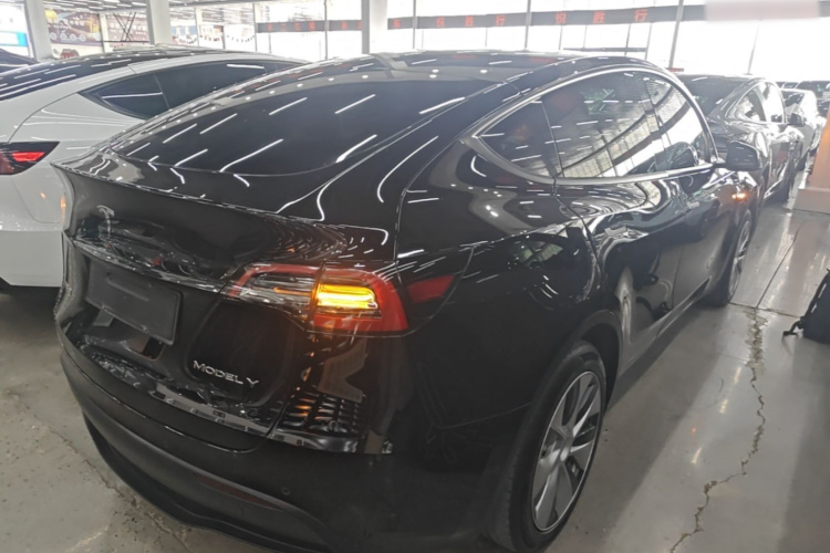 Tesla Model Y 2021 #7 Tesla Model Y 2021 car image #7