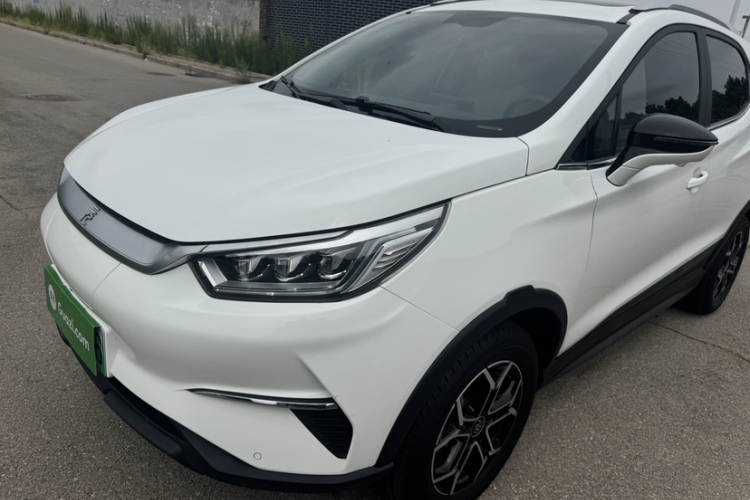 BYD Yuan Pro 2021 #26 BYD Yuan Pro 2021 car image #26