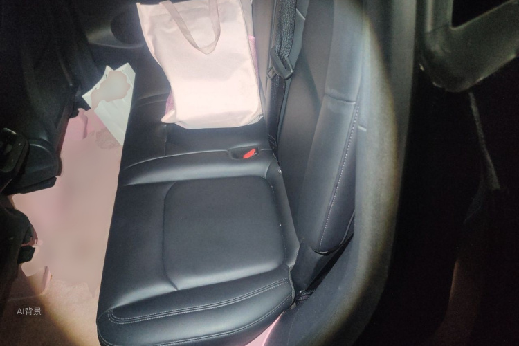Tesla Model Y 2021 #19 Tesla Model Y 2021 صورة سيارة #19
