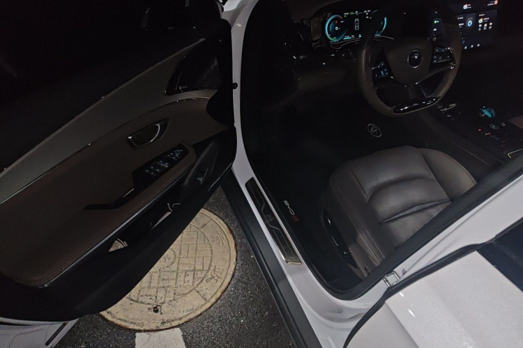BYD Han 2021 immagine di auto #13