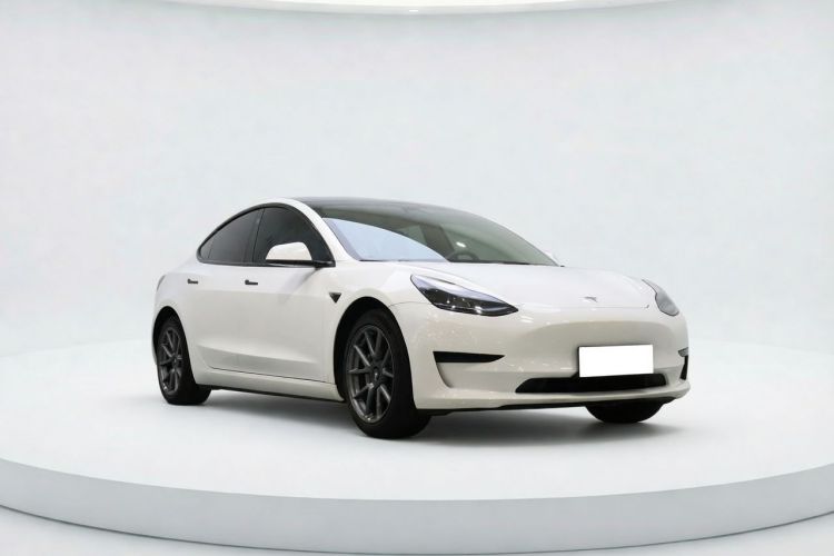 Tesla Model 3 2023 #6 Tesla Model 3 2023 car image #6